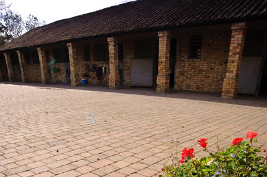 Home Stables